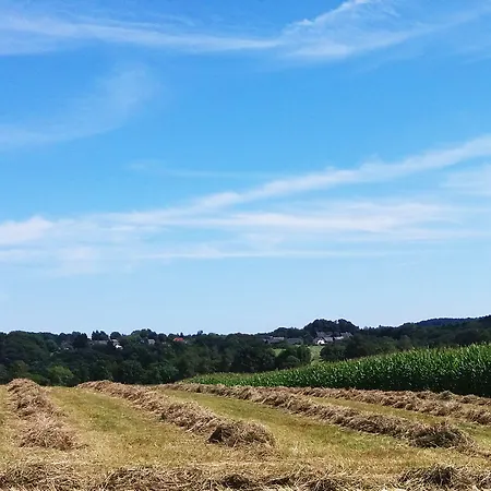 Graefrath Gaestehaus Neunkirchen-seelscheid Maison d'hôtes 2*