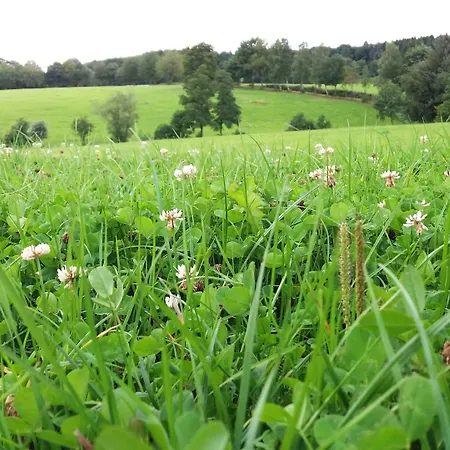 Graefrath Gaestehaus Neunkirchen-seelscheid Maison d'hôtes Neunkirchen (Neunkirchen-Seelscheid)