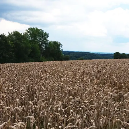 Maison d'hôtes Graefrath Gaestehaus Neunkirchen-seelscheid 2*