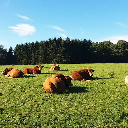 Maison d'hôtes Graefrath Gaestehaus Neunkirchen-seelscheid