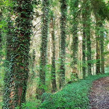 Graefrath Gaestehaus Neunkirchen-seelscheid