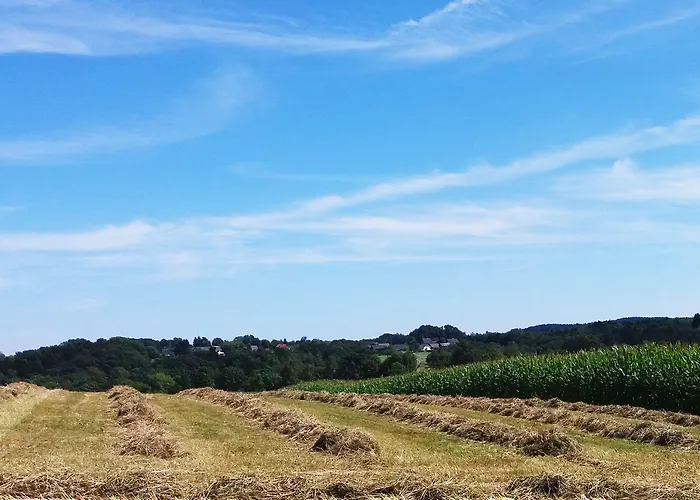 Graefrath Gaestehaus Neunkirchen-seelscheid ゲストハウス 2*