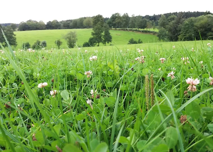 Graefrath Gaestehaus Neunkirchen-seelscheid ゲストハウス Neunkirchen