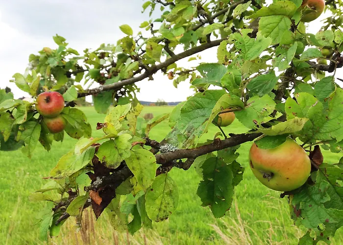 ゲストハウス Graefrath Gaestehaus Neunkirchen-seelscheid
