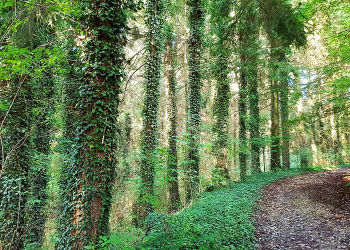 Graefrath Gaestehaus Neunkirchen-seelscheid